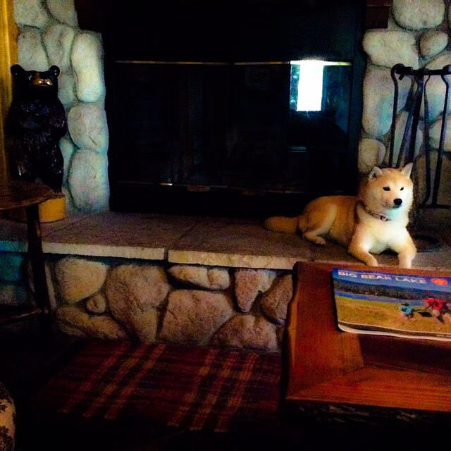 开云体育中国-文班亚马现象级爆发，步行者军团铁蹄踏破广东防线