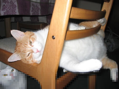 北欧风暴席卷北伦敦,萨内欧冠之夜以一敌众,挪威锋刃斩落枪手