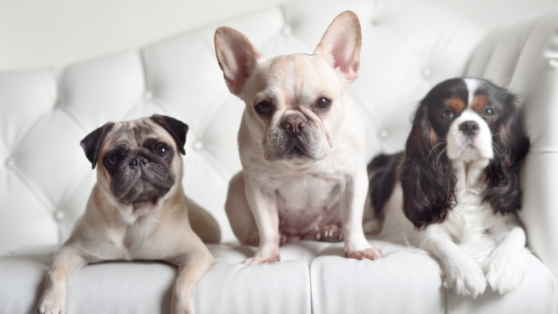 金线坠挪威，奥斯梅恩一粒进球与一个时代的悬停