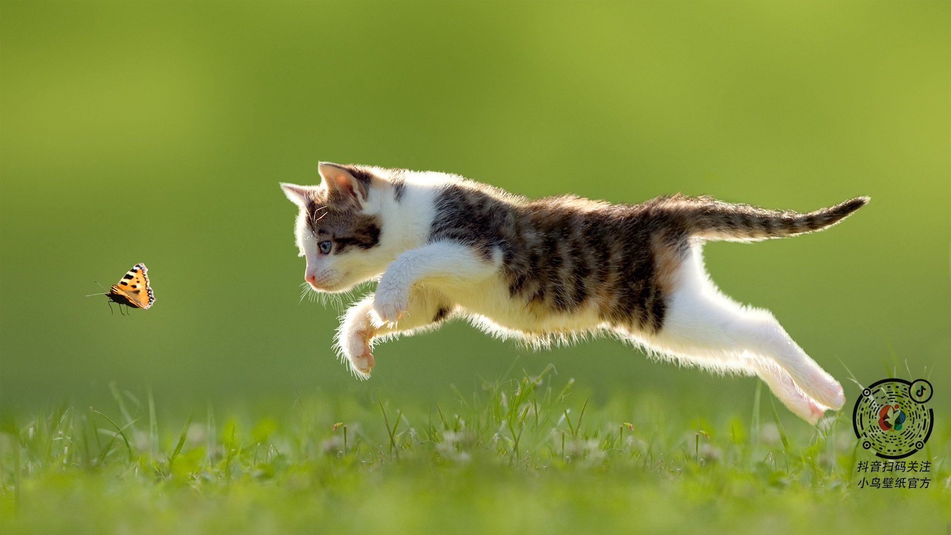 欧冠半决赛之夜,库尔图瓦的锁,如何让对手的每一次射门都成徒劳?