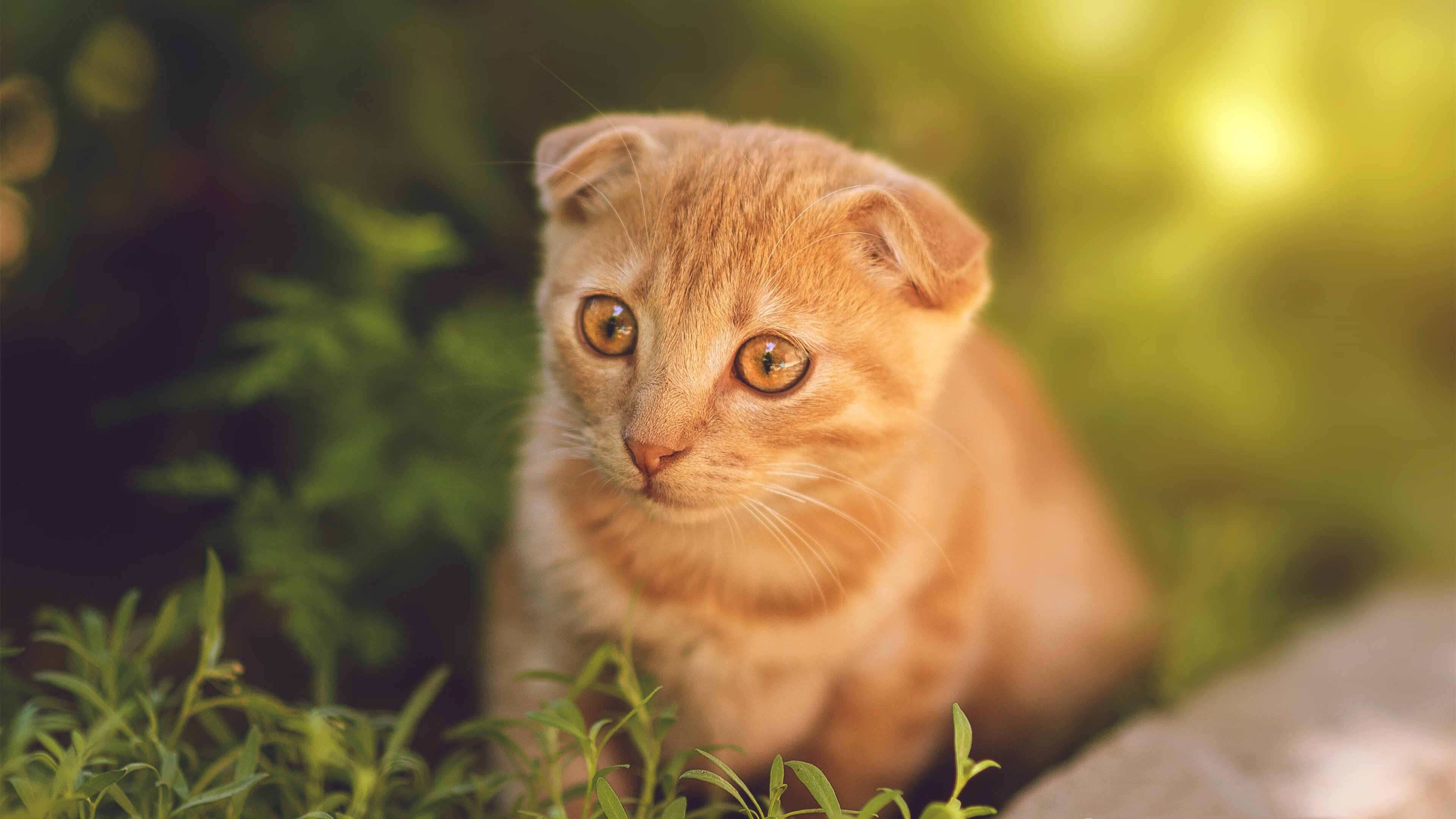 北欧风暴席卷德意志铁壁,特奥爆发!莱比锡红牛绝境决胜挪威之星