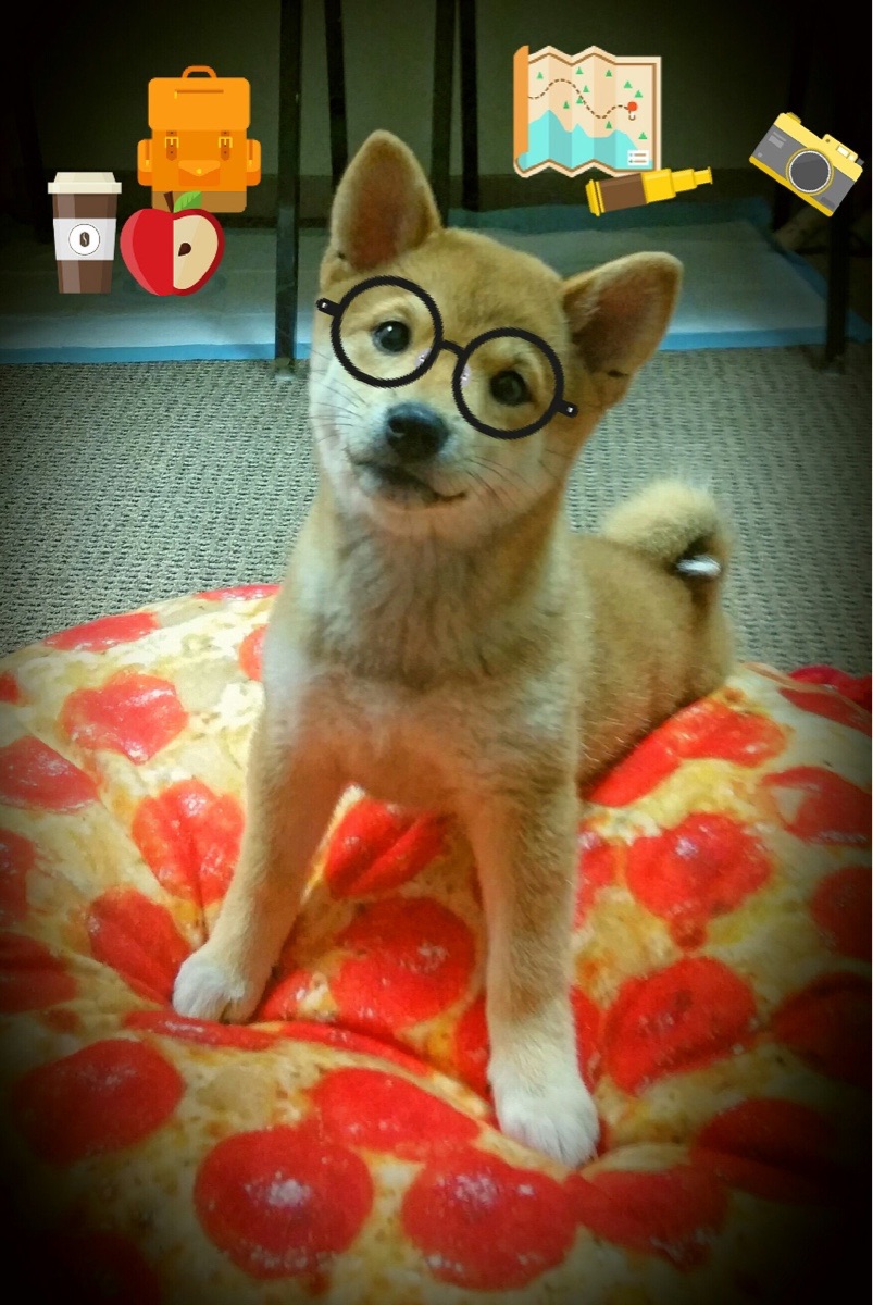 隐喻的回归，当安哥拉击溃美国的神话，在萨卡的脚下醒来