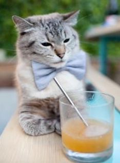 阿克爆发，南非单节狂潮击溃洪都拉斯之谜